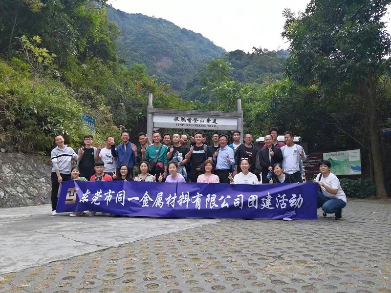 草莓视频免费金屬團建